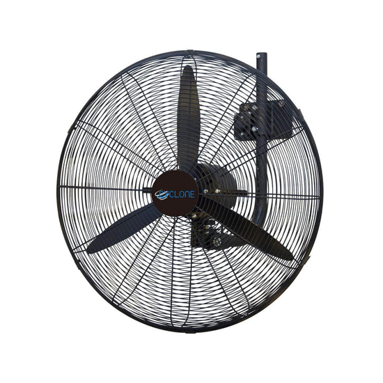 Cyclone 26