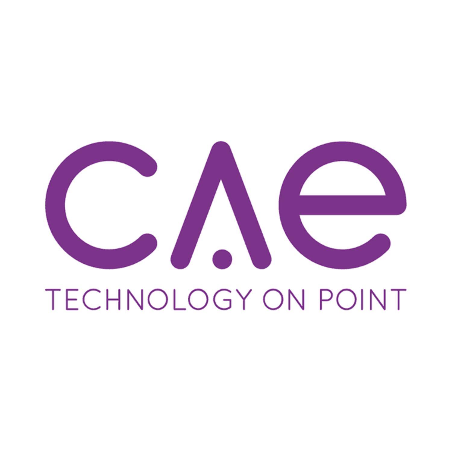 CAE Technology